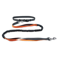 Ceinture de promenade pour chien avec laisse antichoc détachable