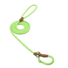 Ensemble Chiot Nylon
