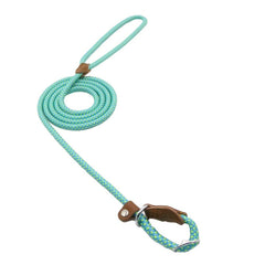 Ensemble Chiot Nylon