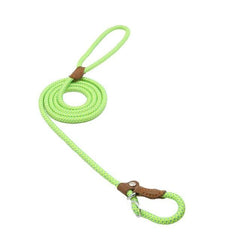Ensemble Chiot Nylon