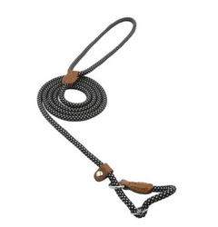 Ensemble Chiot Nylon