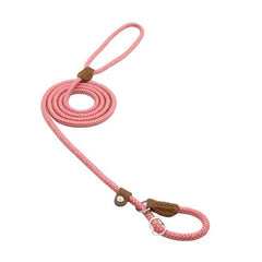Ensemble Chiot Nylon