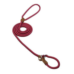 Ensemble Chiot Nylon
