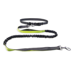 Ceinture de promenade pour chien avec laisse antichoc détachable