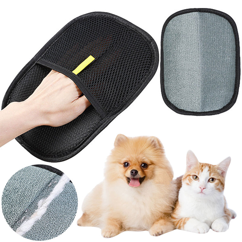 Gant de toilettage pour animaux de compagnie