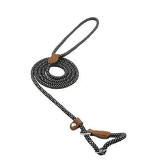 Ensemble Chiot Nylon