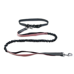 Ceinture de promenade pour chien avec laisse antichoc détachable