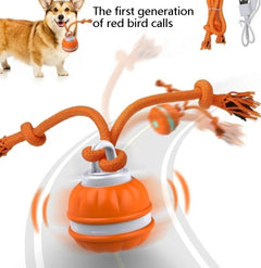 Jouet Interactif pour Animaux de Compagnie Balle Roulante Rechargeable USB