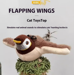 Jouet en peluche oiseau pour animaux de compagnie