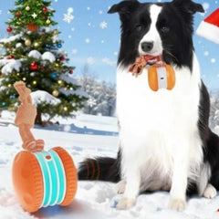 Interactive Pet Rolling Ball Toy USB Rechargeable