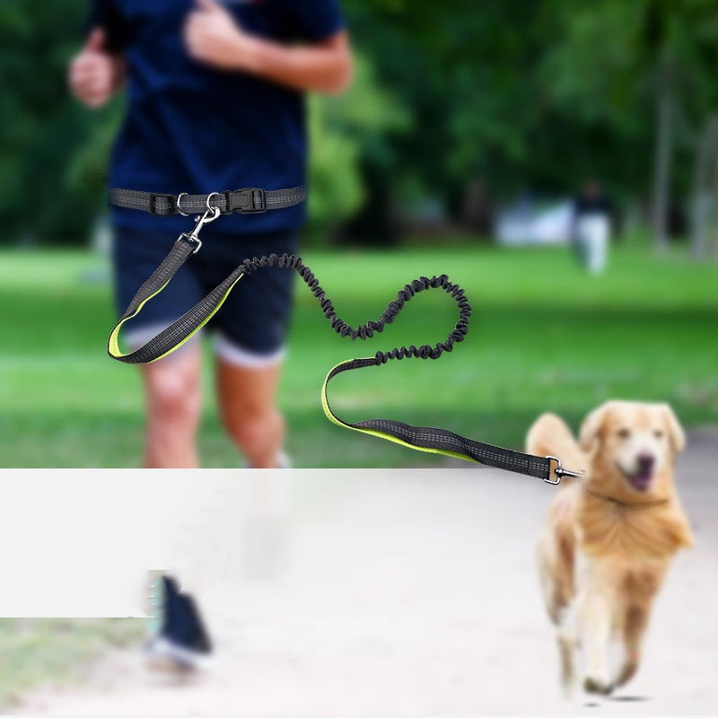 Ceinture de promenade pour chien avec laisse antichoc détachable