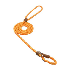 Ensemble Chiot Nylon