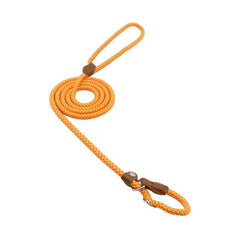 Ensemble Chiot Nylon
