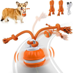 Jouet Interactif pour Animaux de Compagnie Balle Roulante Rechargeable USB