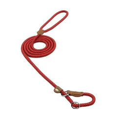 Ensemble Chiot Nylon