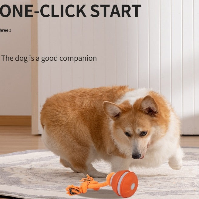 Jouet Interactif pour Animaux de Compagnie Balle Roulante Rechargeable USB