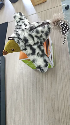 Jouet en peluche oiseau pour animaux de compagnie