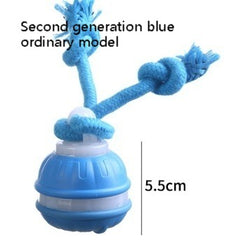 Jouet Interactif pour Animaux de Compagnie Balle Roulante Rechargeable USB