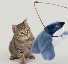 Jouet pour chat oiseau battant des ailes