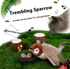 Jouet en peluche oiseau pour animaux de compagnie