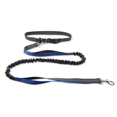 Ceinture de promenade pour chien avec laisse antichoc détachable